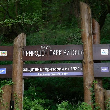 Zheleznitsa Pinus Villas Lodge With Private Jacuzzi & Phyto-Sauna Retreat מראה חיצוני תמונה
