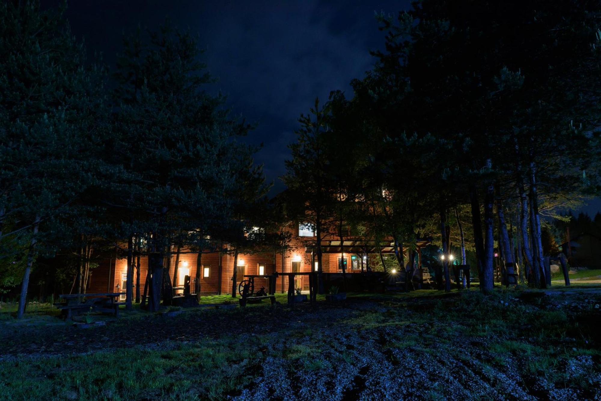 Zheleznitsa Pinus Villas Lodge With Private Jacuzzi & Phyto-Sauna Retreat מראה חיצוני תמונה